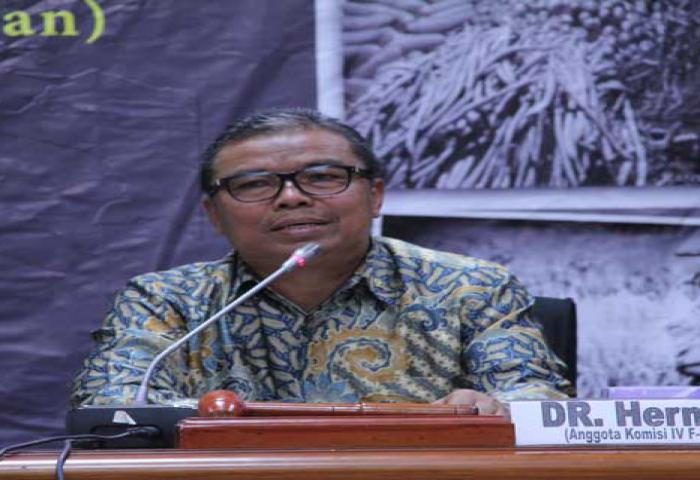 Terkena Penyakit, 13 Ribu Bibit Sawit Impor Dimusnahkan